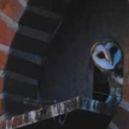 Haus Deckers Hotel 3*