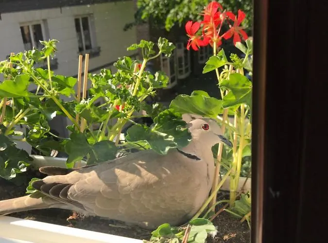Szálloda Haus Deckers