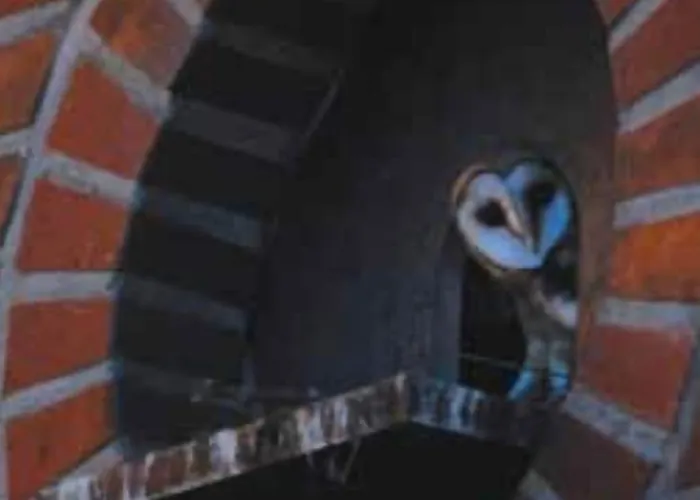 Haus Deckers Szálloda 3*